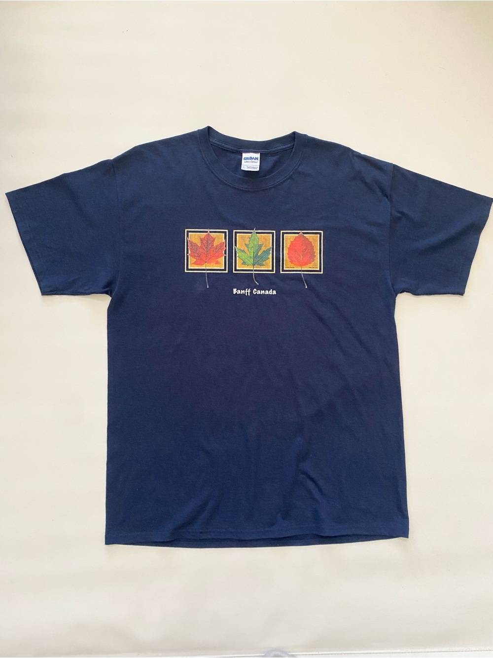 Banff National Park navy Tshirt, men’s large
